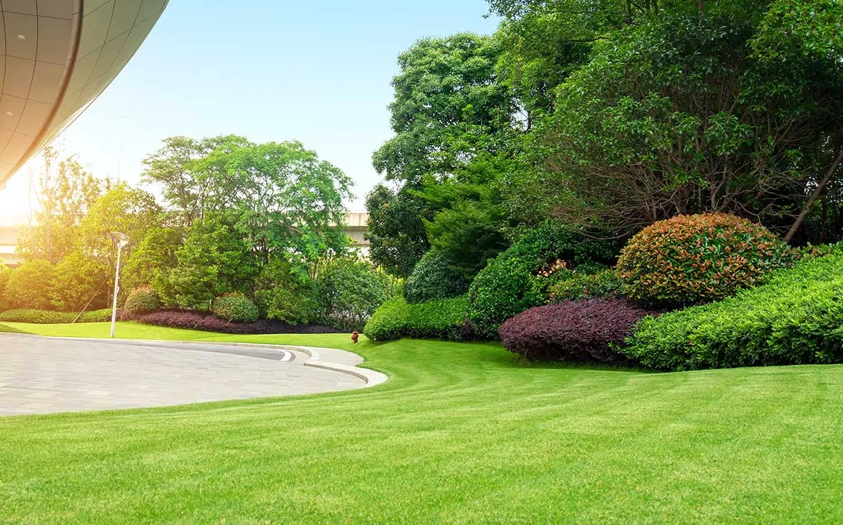 Landscaping Services in Stoney Creek
